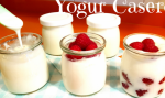 Como hacer yogur casero en una yogurtera