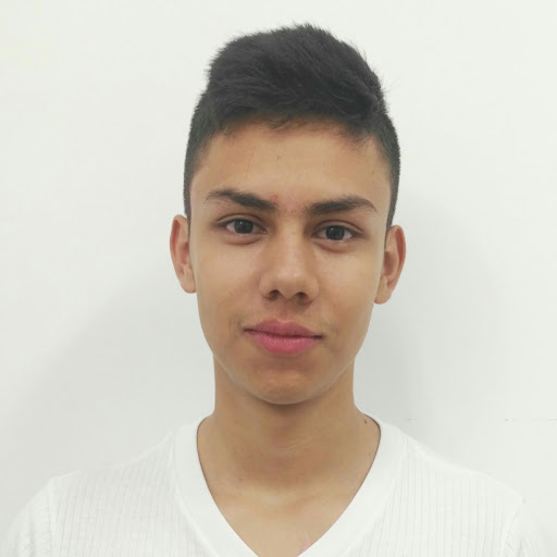 michael stiven ladino bohorquez
