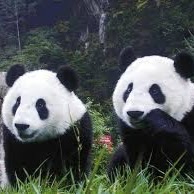 enrique maximiliano rivera castro