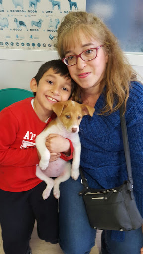 soledad cazorla valderrama